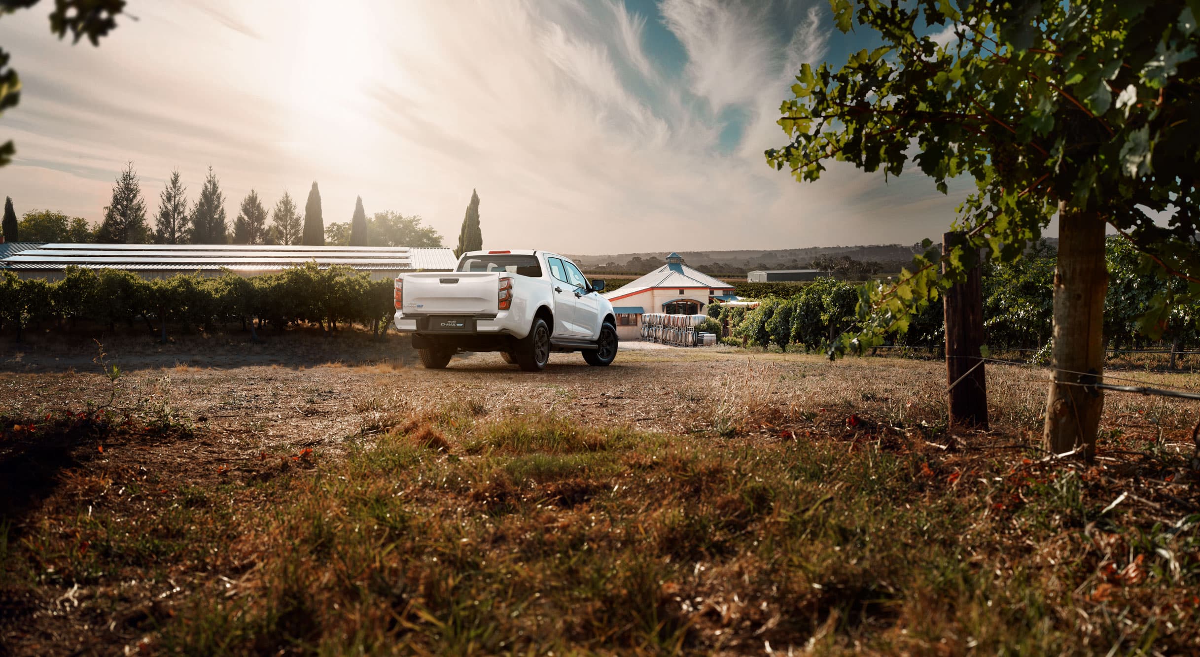 White Isuzu D-MAX EV Double Cab at a vineyard